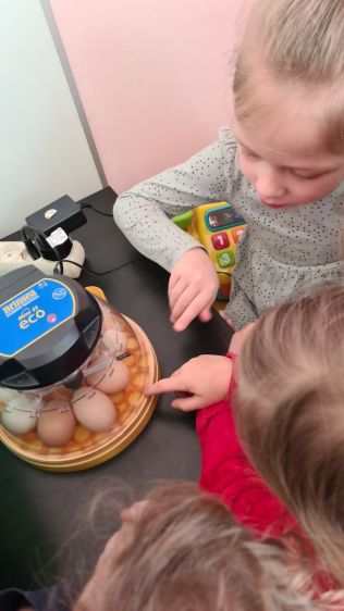 Pažintinė edukacija ,,Magiškas kiaušinis”